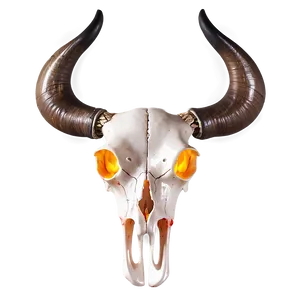Cow Skull With Fire PNG 06132024