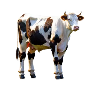 Cow Spots For Home Decor PNG 06282024