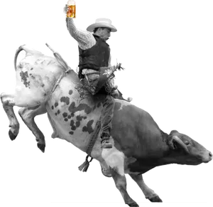 Cowboy Riding Bull With Beer