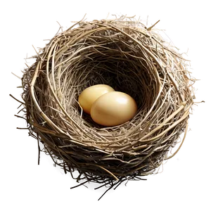 Cozy Bird Nest PNG 05252024 PNG
