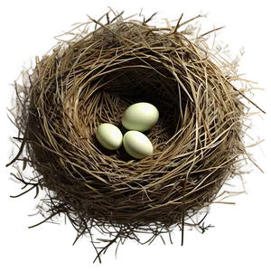 Cozy Bird Nest PNG 31
