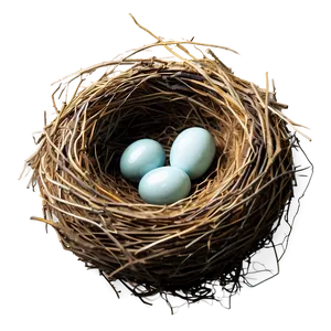 Cozy Bird Nest PNG Hwp68 PNG