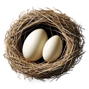 Cozy Bird Nest PNG Nur PNG
