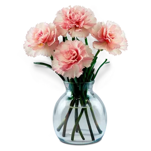 Cozy Carnation PNG 92 PNG