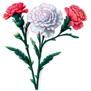 Cozy Carnation PNG Vha