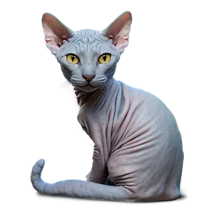 Cozy Hairless Cat PNG Sve