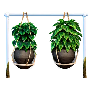 Cozy Hanging Plant Png 05252024 PNG image