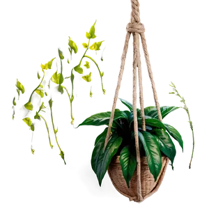 Cozy Hanging Plant Png Boa59 PNG image