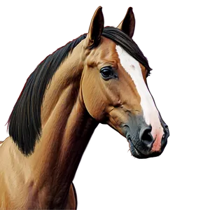 Cozy Horse Head Sketch PNG 06122024