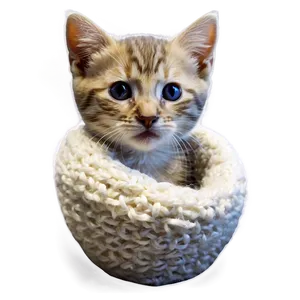 Cozy Kitten Picture PNG 06242024