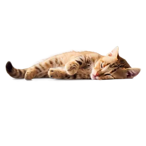Cozy Kitten PNG Afe78