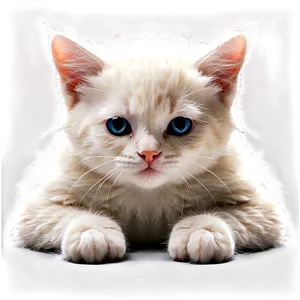 Cozy Kitten PNG Ogw3