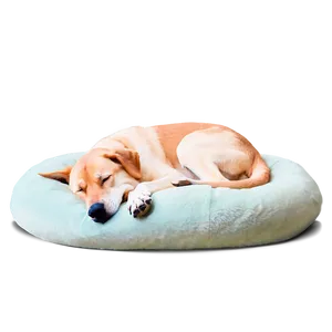 Cozy Sleeping Dog Png 05232024 PNG image