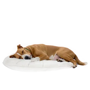 Cozy Sleeping Dog Png Oup PNG image