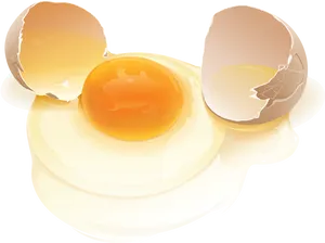 Cracked Egg Vector Illustration PNG image