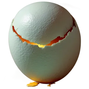 Cracked Eggshell Concept PNG 48 PNG