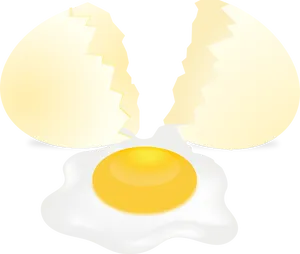 Cracked Eggwith Fried Egg PNG image