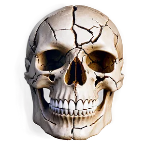 Cracked Skull PNG 05042024 PNG