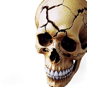 Cracked Skull PNG 25 PNG