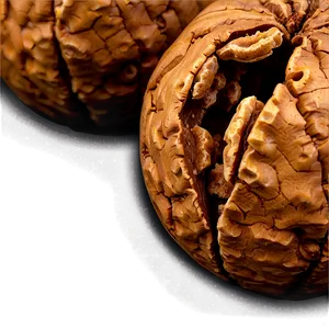 Cracked Walnut Png 06122024 PNG image