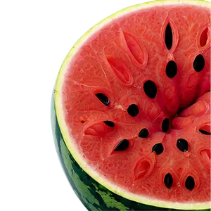 Cracked Watermelon Seeds PNG 06272024