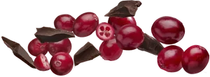 Cranberriesand Chocolate Pieces PNG image