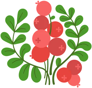 Cranberry Illustration Vector PNG image