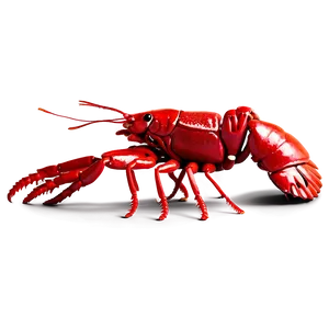 Crawfish A