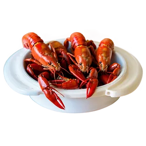 Crawfish Boil Equipment PNG 06122024