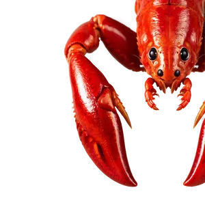 Crawfish C