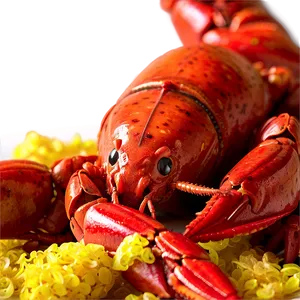 Crawfish Feast Celebration Png Fog PNG image