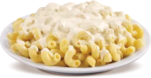 Creamy Macaroni Cheese Dish