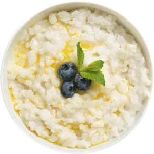 Creamy Oatmealwith Blueberriesand Mint PNG image