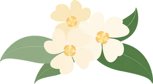 Creamy White Floral Illustration