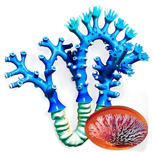 Creating Artificial Coral Structures PNG 05242024 PNG