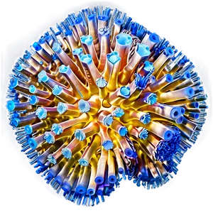 Creating Artificial Coral Structures PNG Pcf23 PNG