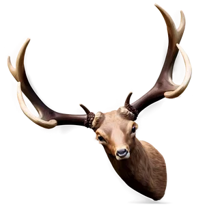 Creative Antler Concept PNG 97