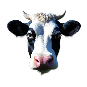Creative Cow Head PNG Nkt PNG