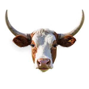 Creative Cow Head PNG Tej PNG