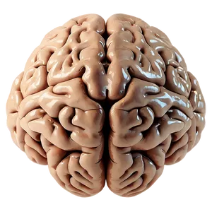 Creative Genius Brain Emoji PNG 06132024