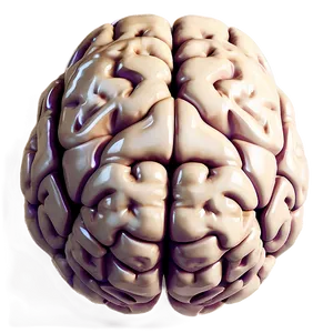 Creative Genius Brain Emoji PNG Ebu PNG