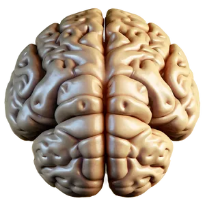 Creative Genius Brain Emoji PNG Jxu PNG