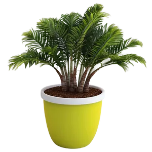 Creative Potted Plant Arrangements PNG 37 PNG