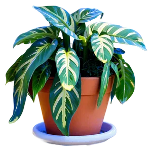 Creative Potted Plant Arrangements PNG 94 PNG