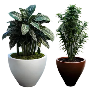 Creative Potted Plant Arrangements PNG Dxd PNG