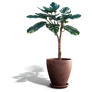Creative Potted Plant Arrangements PNG Xqh29 PNG