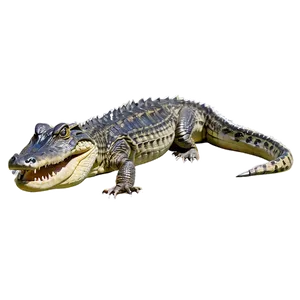 Creeping Alligator PNG Unn PNG