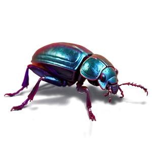 Creepy Bug PNG 05242024