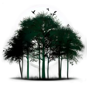 Creepy Dark Forest PNG Hta PNG