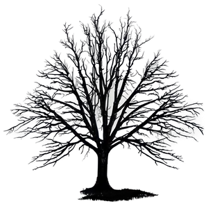 Creepy Fogged Trees PNG 05042024